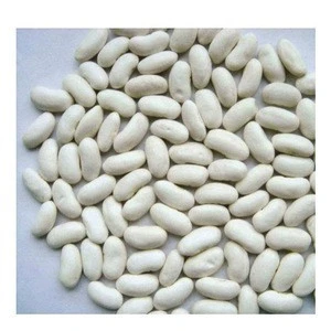 white kidney beans / butter bean / white bean Bulk Quantity High quality cheap rate Wholesale Dealer