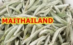 White Tea Silver Needle 100g White Tea Price Wholesale (Support Your Logo Brand)