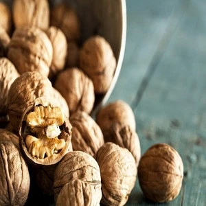 Wholesale Cheap Walnuts Nuts Walnut Price USA