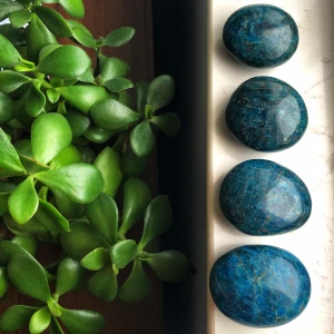 Wholesale Crystal Palm Stone Semi Precious Stone Reiki Gemstone Folk Crafts Blue Apatite Crystal Palm Stone For Healing