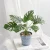 Import Wholesale ins Nordic style simulation turtle back leaf plant potted artificial green plant leaf bonsai home decoration ornaments from China