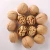 Import wholesale white thin skin shelled walnuts from China