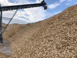 Wood Pellets for Biomass with FSC