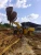 Import XJ968J wood forestry machinery forestry equipment and machines for sale from China