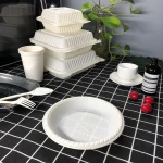 Y10 Promotion 15%off biodegradable cornstarch plastic spoon knife and fork corn starch cutlery