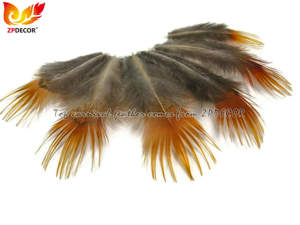 ZPDECOR Wholesale Bulk Natural Yellow Golden Pheasant Plumage for DIY Fashion Handmade Feathers Headbands
