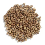 High Quality Organic Coriander Seeds Spices and Seasonings Split Coriander Seed Top Quality