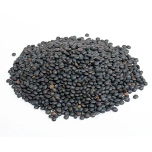 Black Urad Dal Export Premium Quality Black Lentils Lentils Beans at Lowest Price