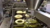 automatic donut hole machine-Yufeng