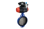 Center line-type wafer Butterfly Valve