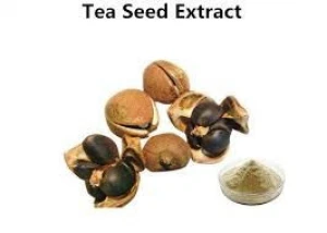 nature tea extract saponin 75%