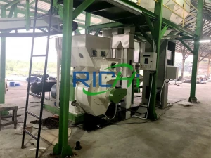 Good selling in Indonesia completely wood biomass pellet production line rate