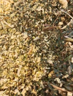 Corn Silage