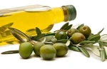 Premium Quality Extra Virgin Olive Oil Cold Extracted First Press High Polyphenol Rich Aroma Bulk Supply for Food Servi