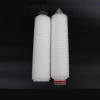 0.2/0.45um polyethersulfone ( PES ) filter cartridge Liquid Filter For Sterile Apis Filtration