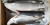 Import Grey Mullet from China