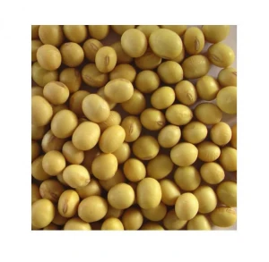 Non GMO Organic Soybeans - Organic Soy Beans