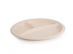 Eco Friendly Disposable & Biodegradable Food Tray
