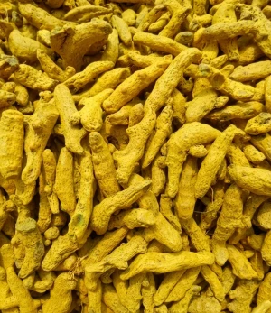 Premium Quality Turmeric Root for Export Organic Turmeric Powder Bulk Supply Turmeric Extract Capsules Wholesale Export