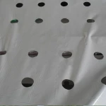 Film Punching Machine mulching film perforating machine