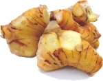 Frozen Galangal (White Galangal)