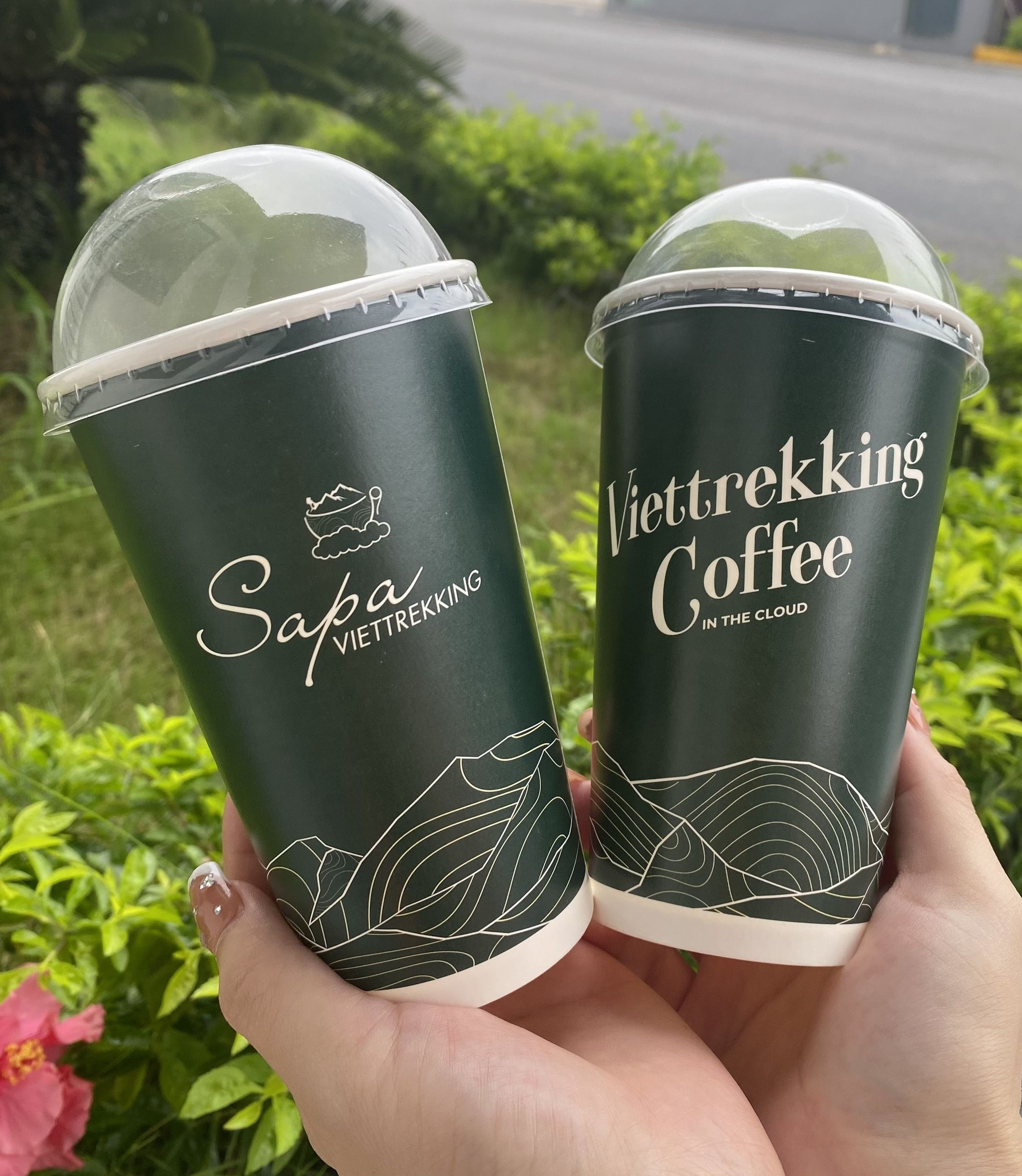 Buy Eco Friendly Disposable Paper Cup from Taixin Printing Vina ...