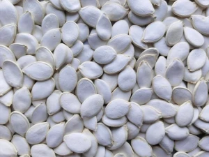 Dried Snow White Pumpkin Seeds For Sale Grade A