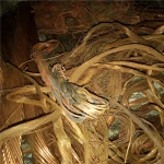 Buy copper scrap cathodes and copper wire from Tanzania