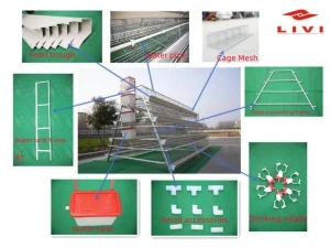 Chicken Layer Cage for Sale in Philippines at Factory Price