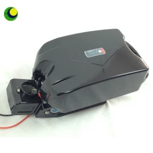 36V customized capacity rechargeable lithium ion e-bike battery with BMS case and charger