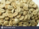 Mexican Organic Specialty Coffee Beans From Chiapas