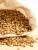 Import Bulk Barley Wheat Grains from Hungary
