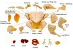 Frozen Processed Brazil Chicken Feet & Paws (SIF)