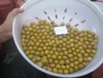 Table olives