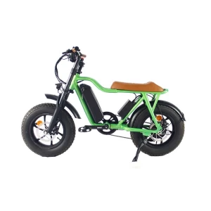 2023 Newest 16 inch aluminum Frame Full Suspension Electric Bicycle
