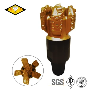 China Manufacturer Provide API 7-1 Standard 3-26 Inches PDC Bit, Gas Well Bit, and Oil Well Bit for Well Drilling