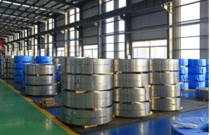 Precision Stainless Steel Strip