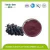 Grape Seed Extract, Proanthocyanidins OPC