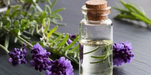 Lavender oil 100% natural
