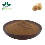 Premium Hericium Erinaceus Mushroom Extract for Cognitive Support