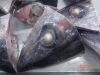 Available YF tuna heads for bait and pet foods