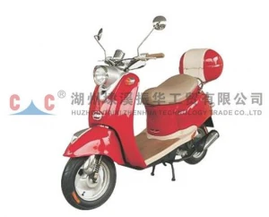 Electric Scooter-ZH50-5