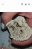 White raw ambergris