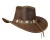 Import Buffalo Nickel Leather Hat from Pakistan