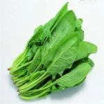 common organic fresh spinach/frozen spinach/green spinach