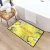 Import Custom Hotel Bath Nylon Floor Rug Mat Non slip modern Waterproof decor Bathroom bath mats 80*120 from China