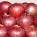 wholesale onions by onion suppliers on red onion
