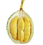 Vietnamese fresh durian