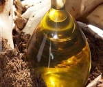 Sassafras Oil 98% Safrole For Sale