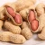 Import High Quality Peanuts, Ground Nut Wholesale from South Africa